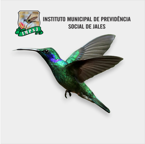 Relatório de Despesas Junho 2024